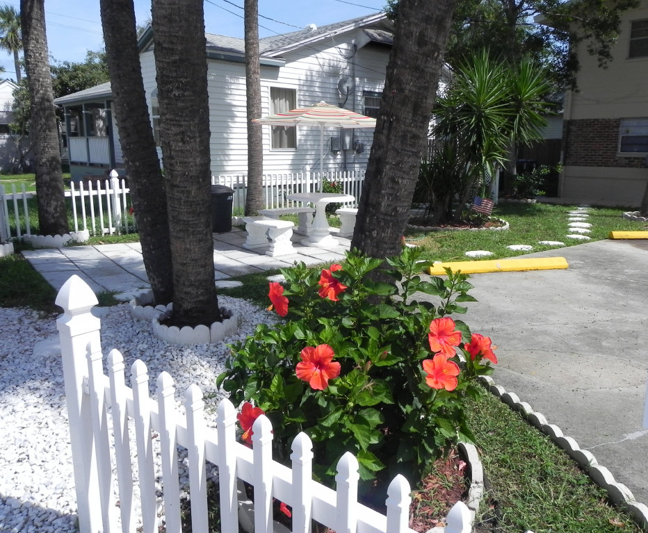 Flowers and white rocks, over eight hibiscus and flower garden in the back